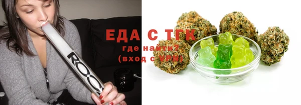 шишки Слюдянка