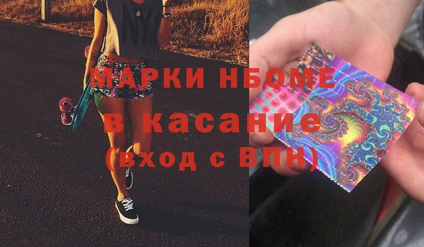 шишки Слюдянка