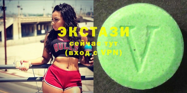 шишки Слюдянка