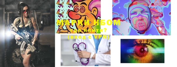 шишки Слюдянка