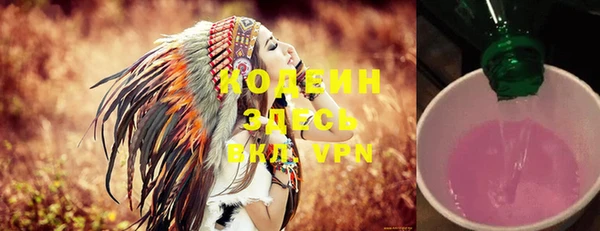 шишки Слюдянка